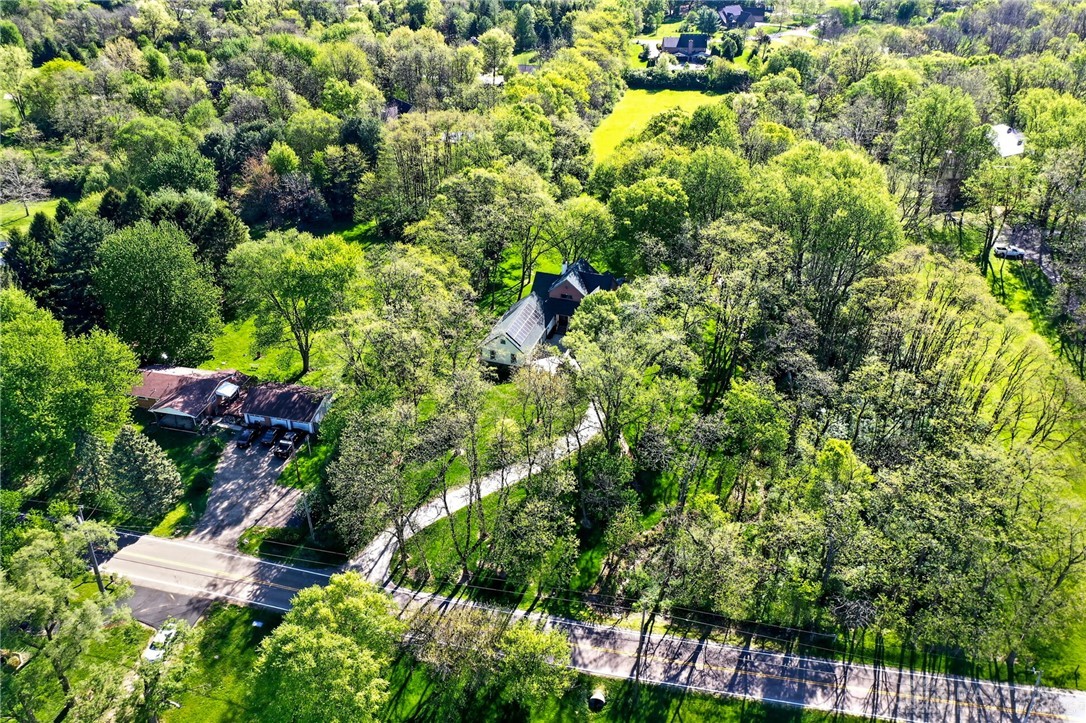 330 South Alpha Bellbrook Road Bellbrook, OH 45305 - Photo 70 of 87 This lush, expansive property features a serene, tree-lined landscape.