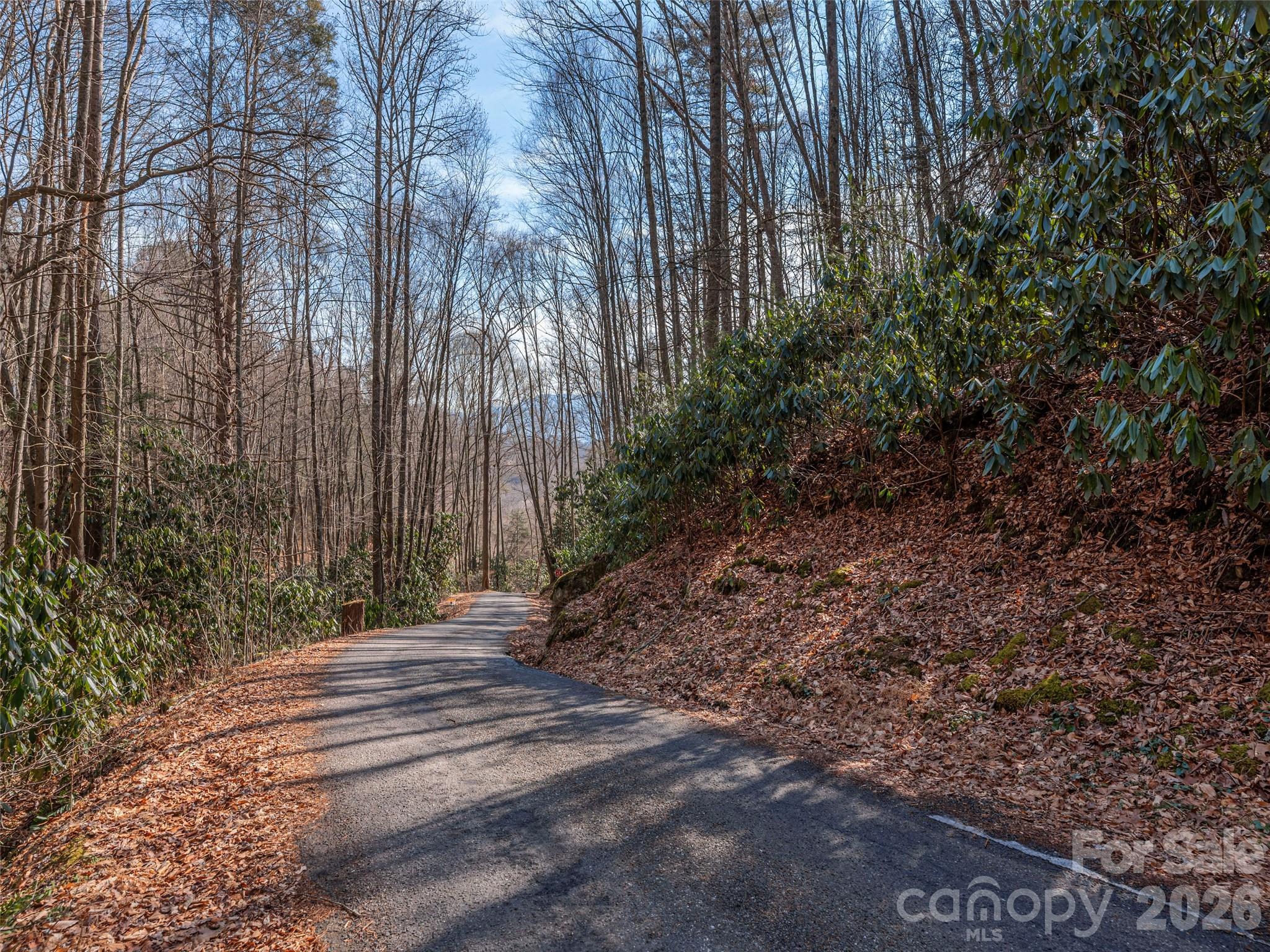 0 Coyote Hollow Road Waynesville, NC 28785 - Photo 3 of 12