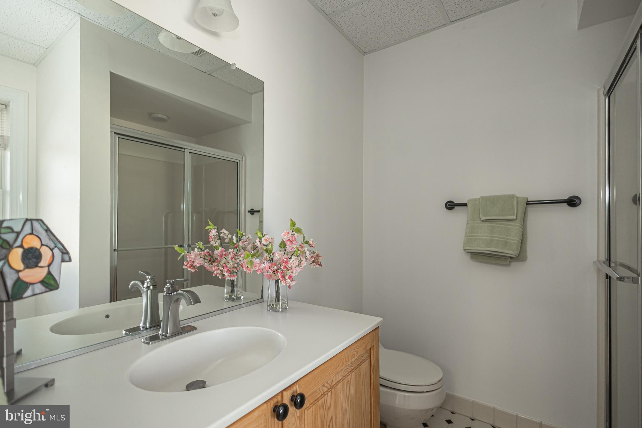 1045 Washington Crossing Road Newtown, PA 18940 - Photo 46 of 67 a bathroom with a sink vanity mirror and toilet