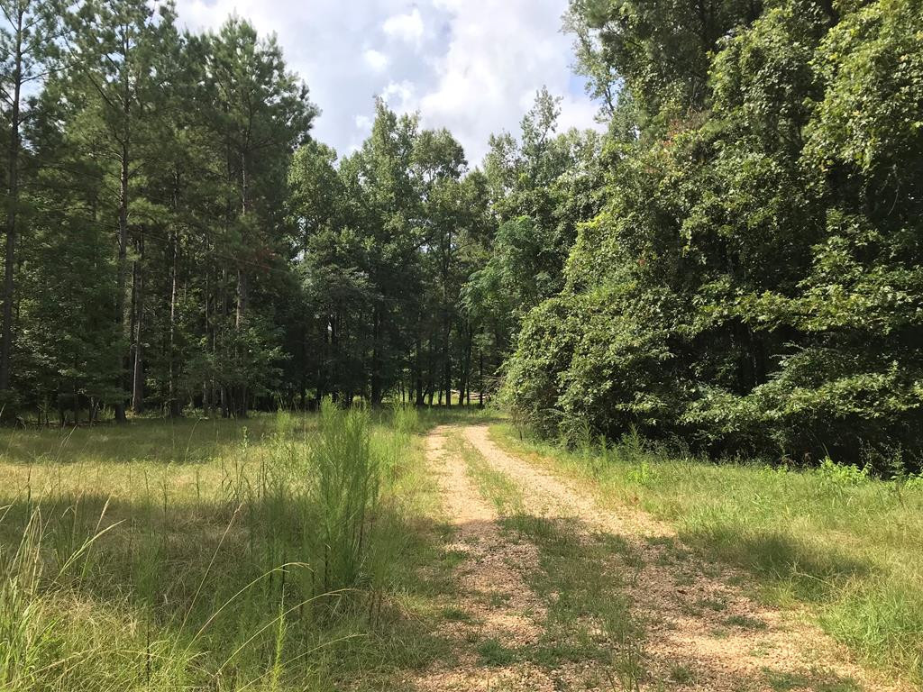 6908 Moak Road Summit, MS 39666 - Photo 1 of 1 Main View