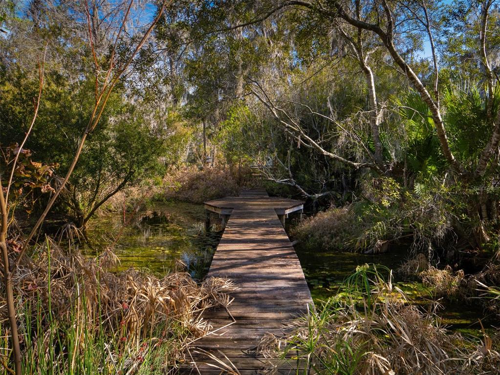 4986 Southwest 7th Avenue Road Ocala, FL 34471 - Photo 39 of 39 a view of path along with trees
