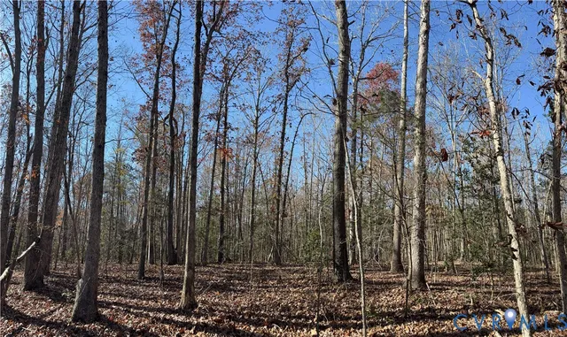 $59,000 | Lot 4 Diggstown Road, Bumpass, VA 23024
