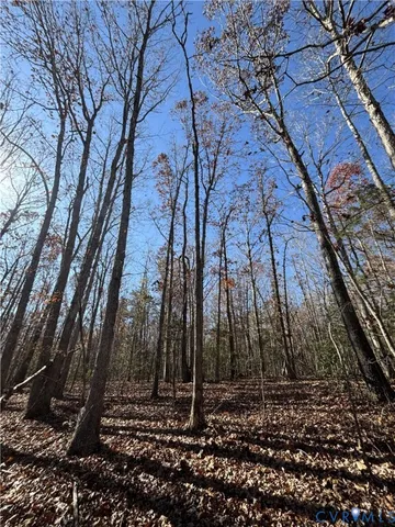 $59,000 | Lot 4 Diggstown Road, Bumpass, VA 23024