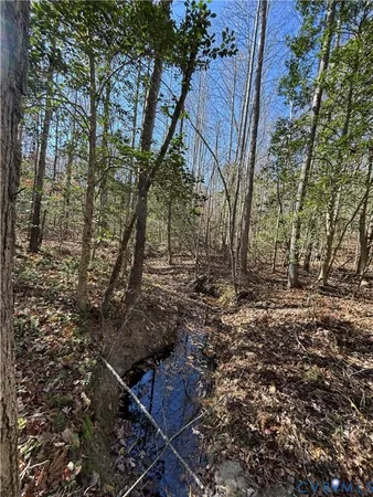 $54,000 | Lot 4 Diggstown Road, Bumpass, VA 23024