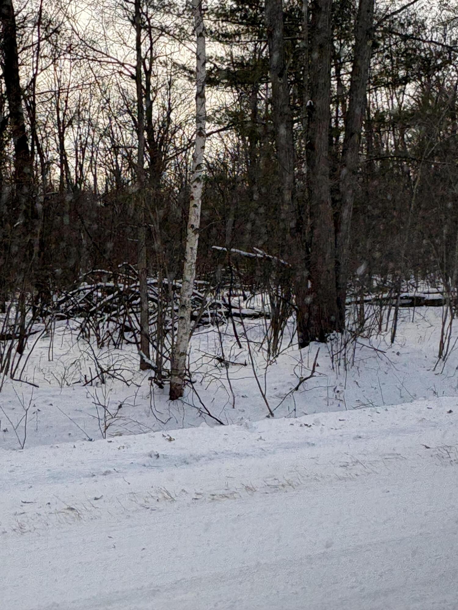 V/l East Prairie Road Midland, MI 48640 - Photo 12 of 60 IMG_0502