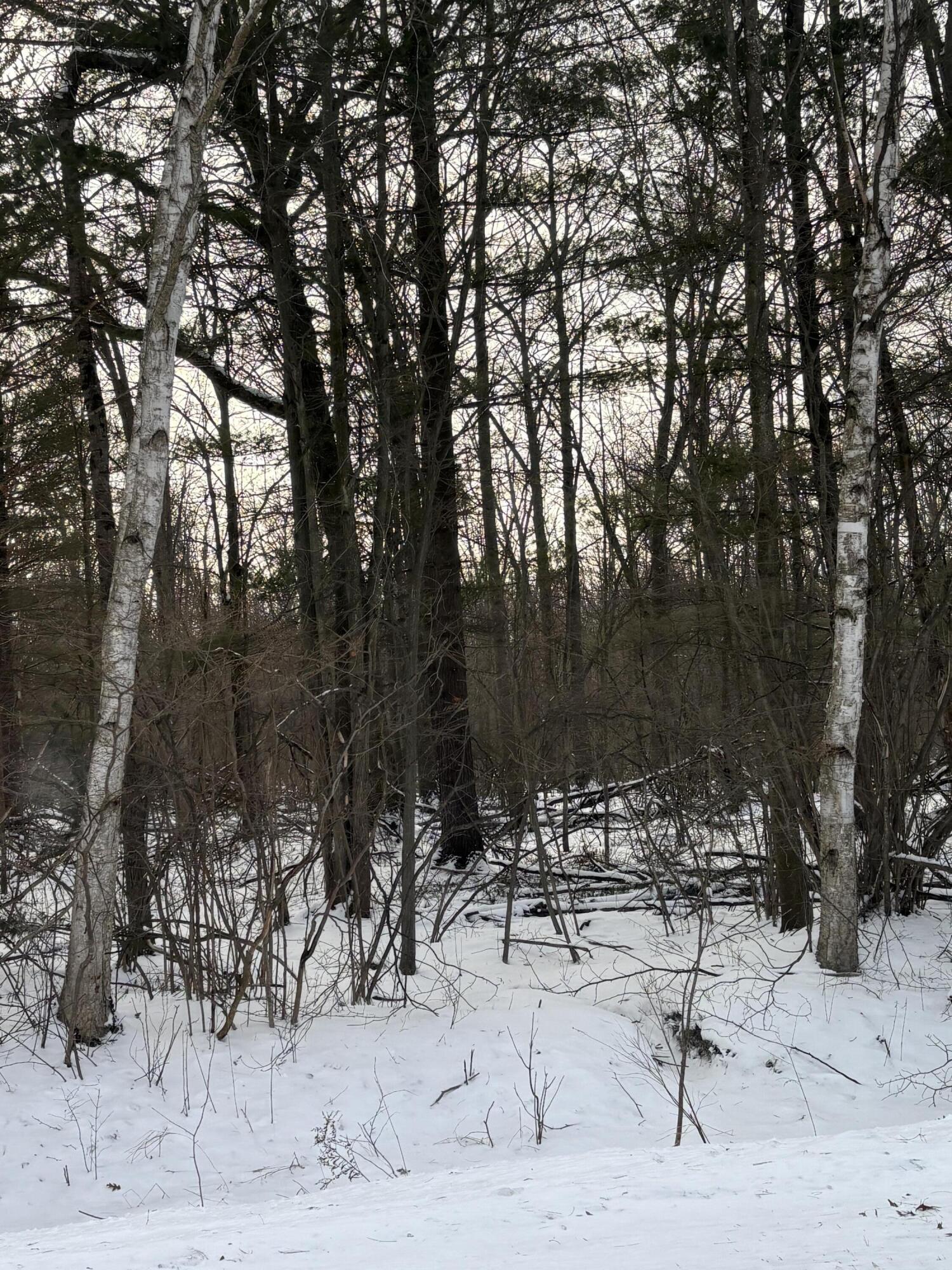 V/l East Prairie Road Midland, MI 48640 - Photo 13 of 60 IMG_0501