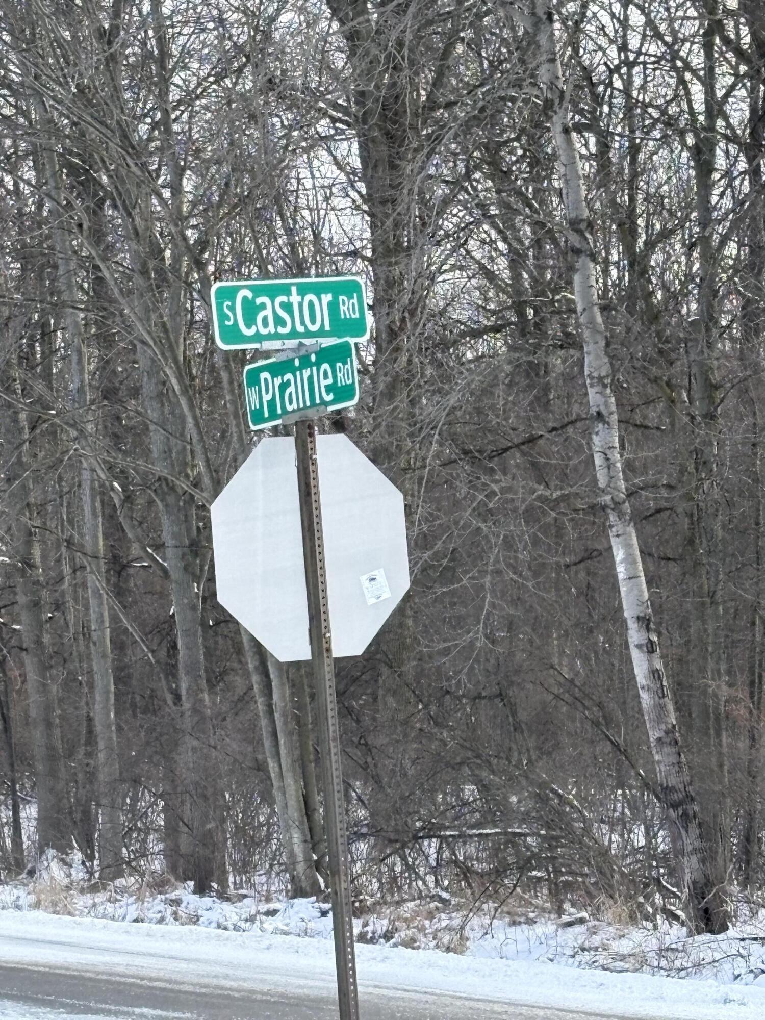 V/l East Prairie Road Midland, MI 48640 - Photo 14 of 60 IMG_0498