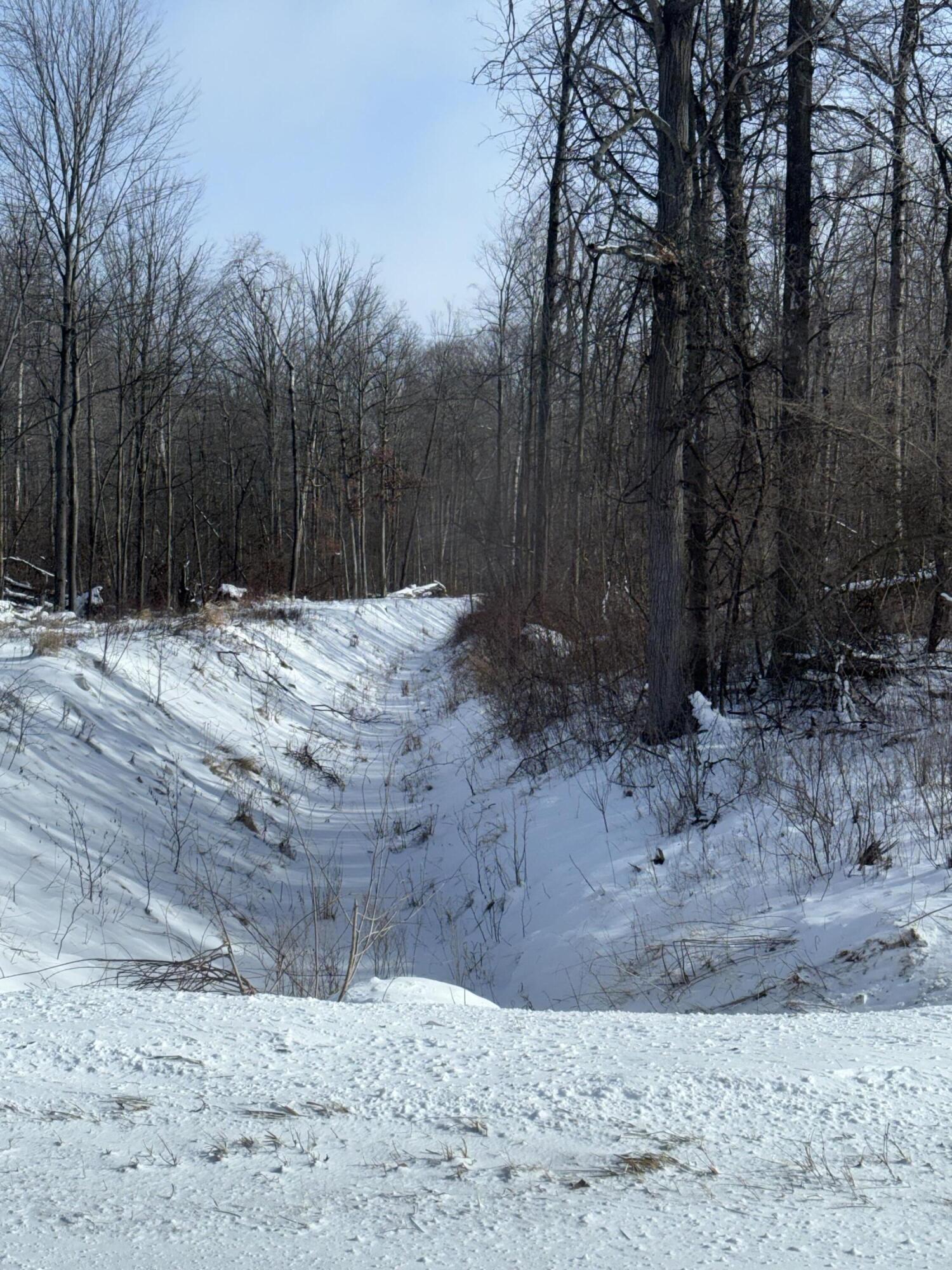 V/l East Prairie Road Midland, MI 48640 - Photo 15 of 60 IMG_0497