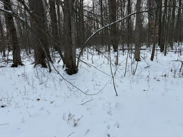 $600,000 | West Prairie Road, Midland, MI 48640