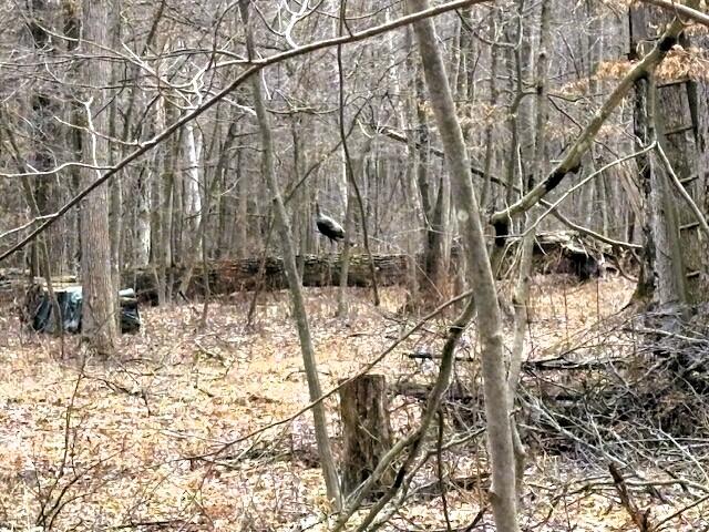 V/l East Prairie Road Midland, MI 48640 - Photo 2 of 60 IMG_7558