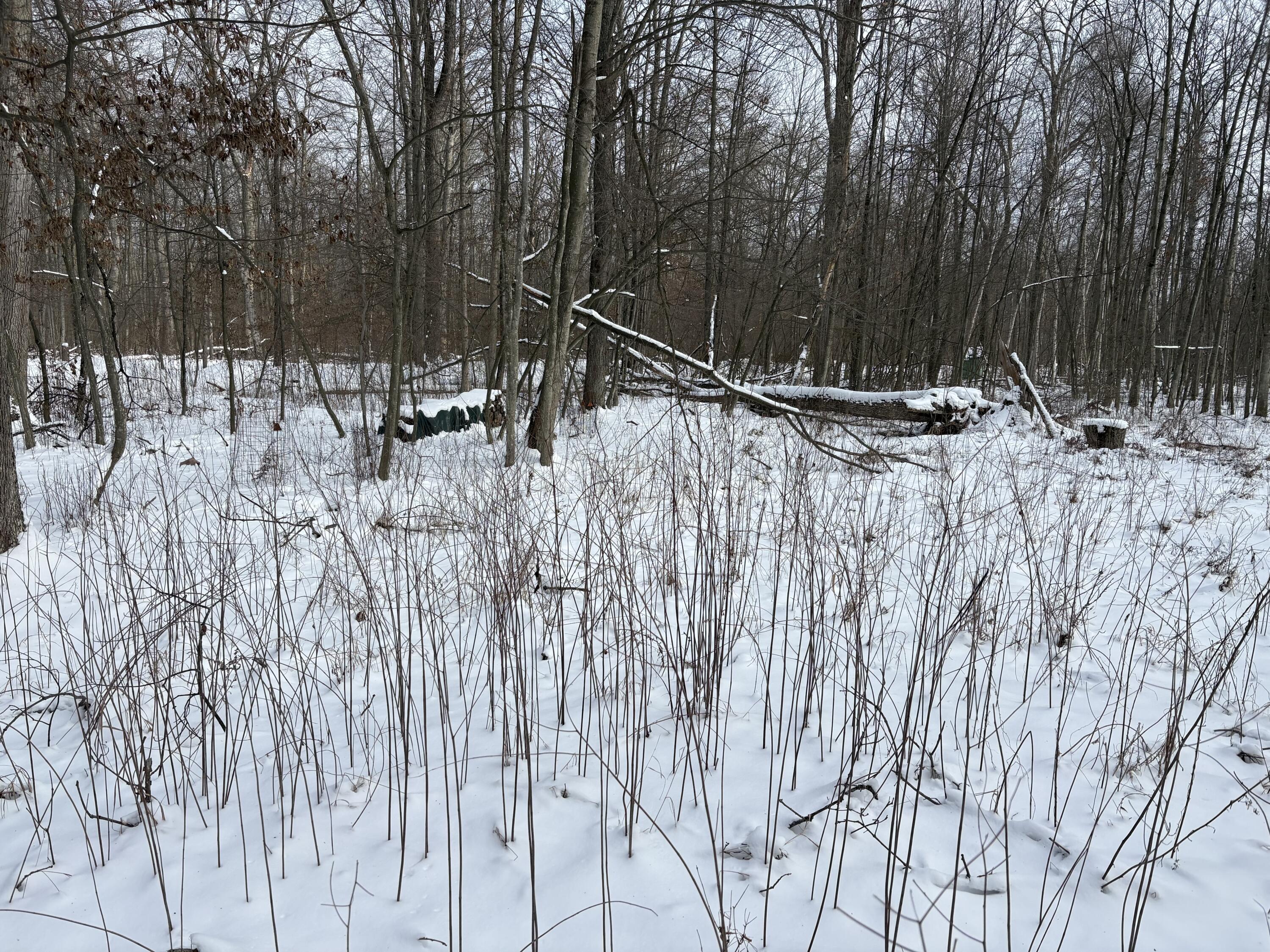 V/l East Prairie Road Midland, MI 48640 - Photo 21 of 60 IMG_5648