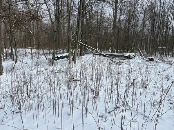 $600,000 | West Prairie Road, Midland, MI 48640