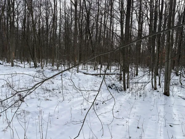 $600,000 | West Prairie Road, Midland, MI 48640