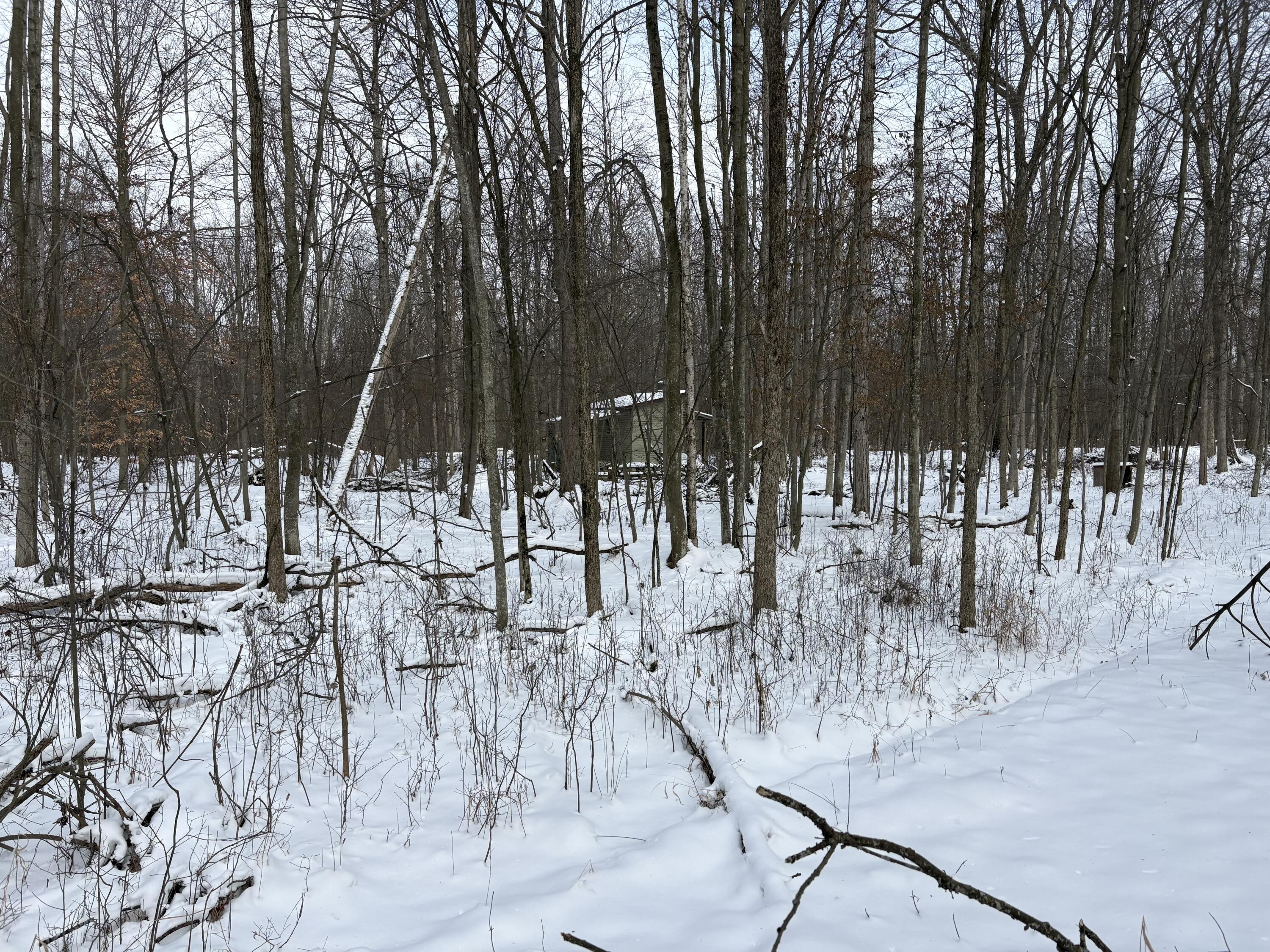 V/l East Prairie Road Midland, MI 48640 - Photo 28 of 60 IMG_5639