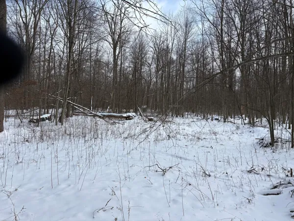 $600,000 | West Prairie Road, Midland, MI 48640