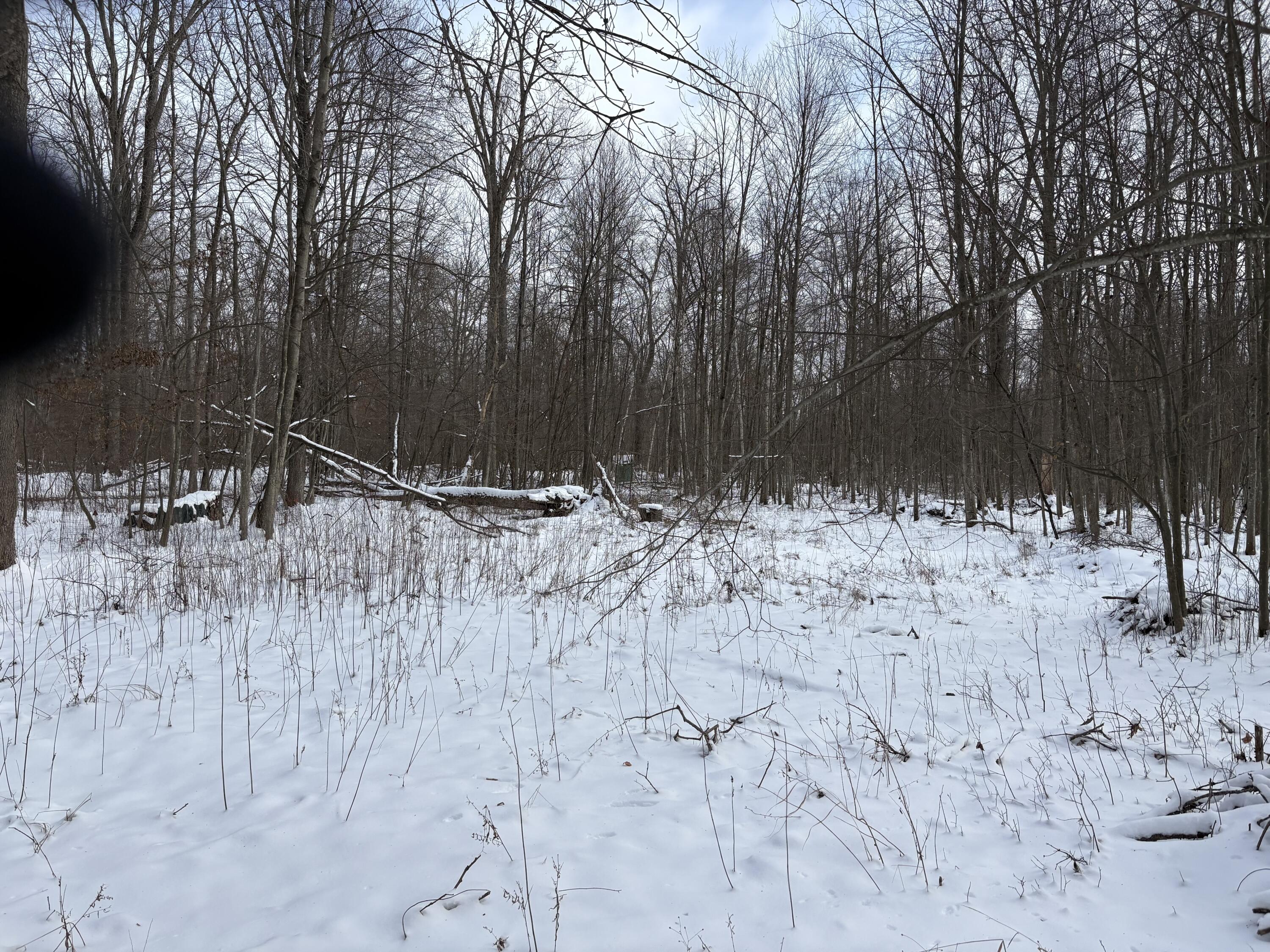 V/l East Prairie Road Midland, MI 48640 - Photo 29 of 60 IMG_5640