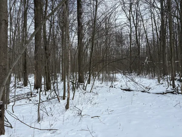 $600,000 | West Prairie Road, Midland, MI 48640