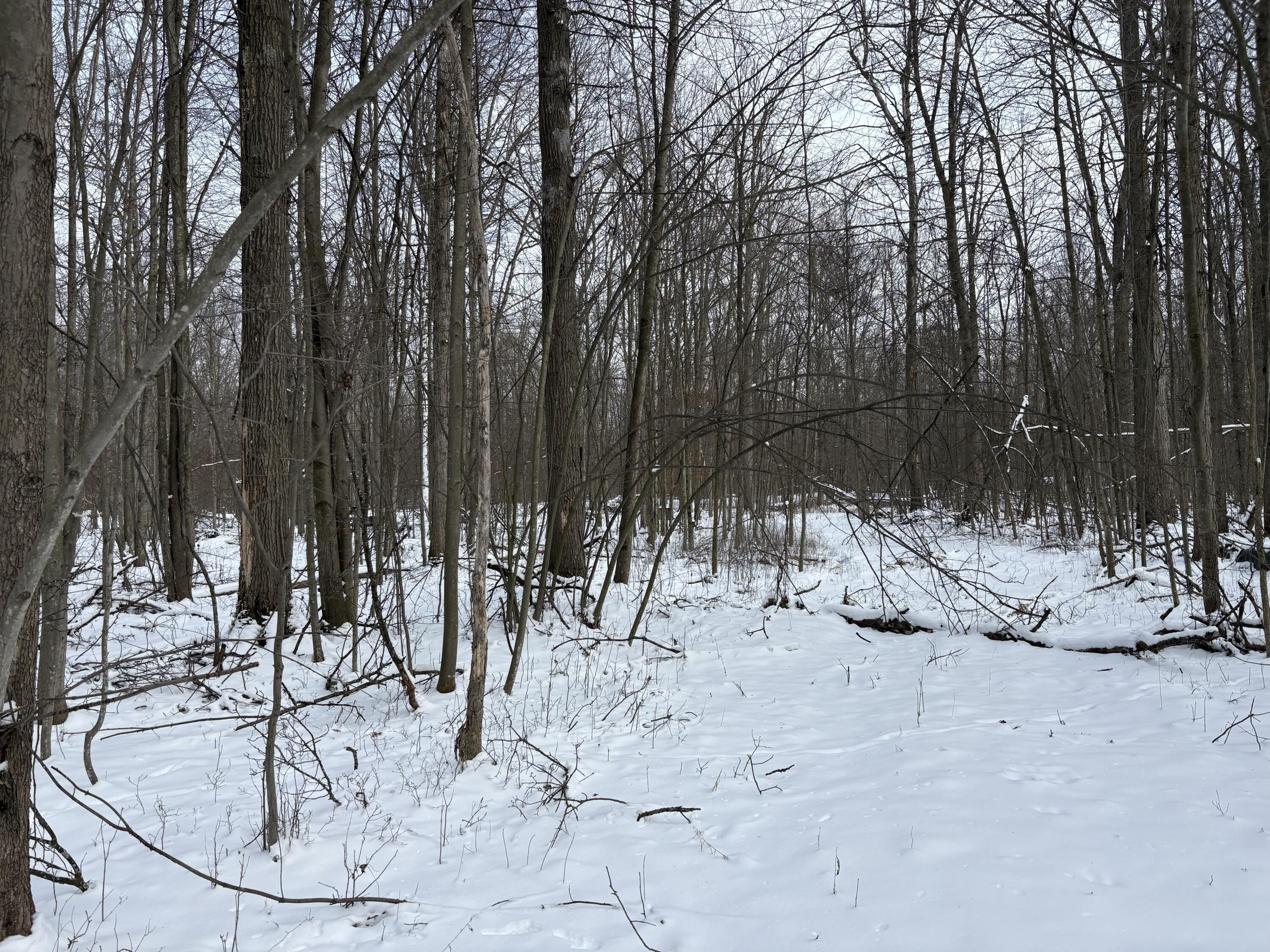 V/l East Prairie Road Midland, MI 48640 - Photo 31 of 60 IMG_5638