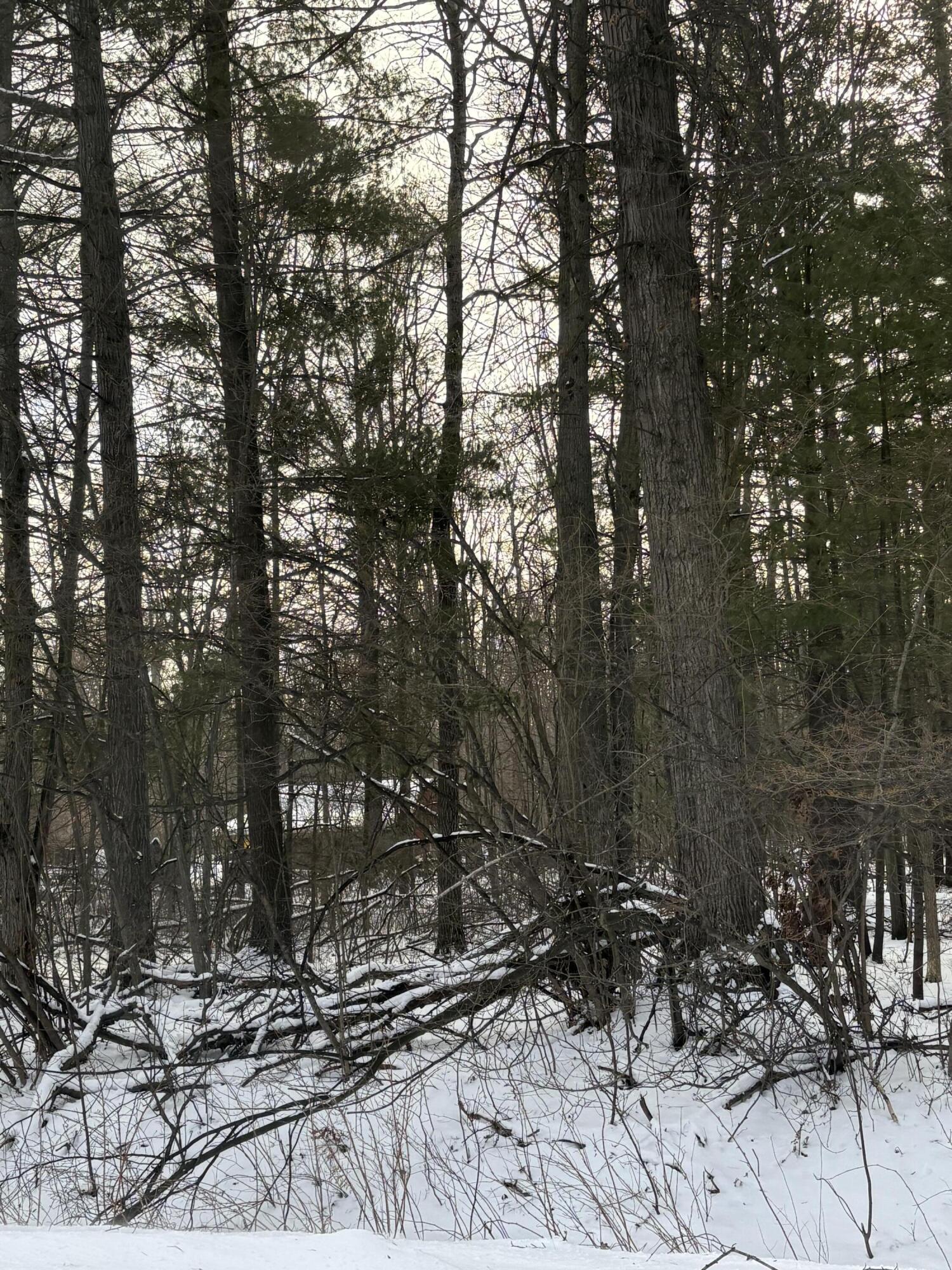 V/l East Prairie Road Midland, MI 48640 - Photo 32 of 60 IMG_0500