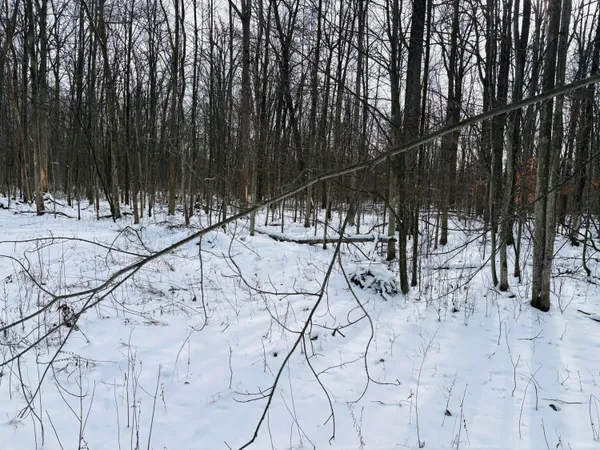 $600,000 | West Prairie Road, Midland, MI 48640