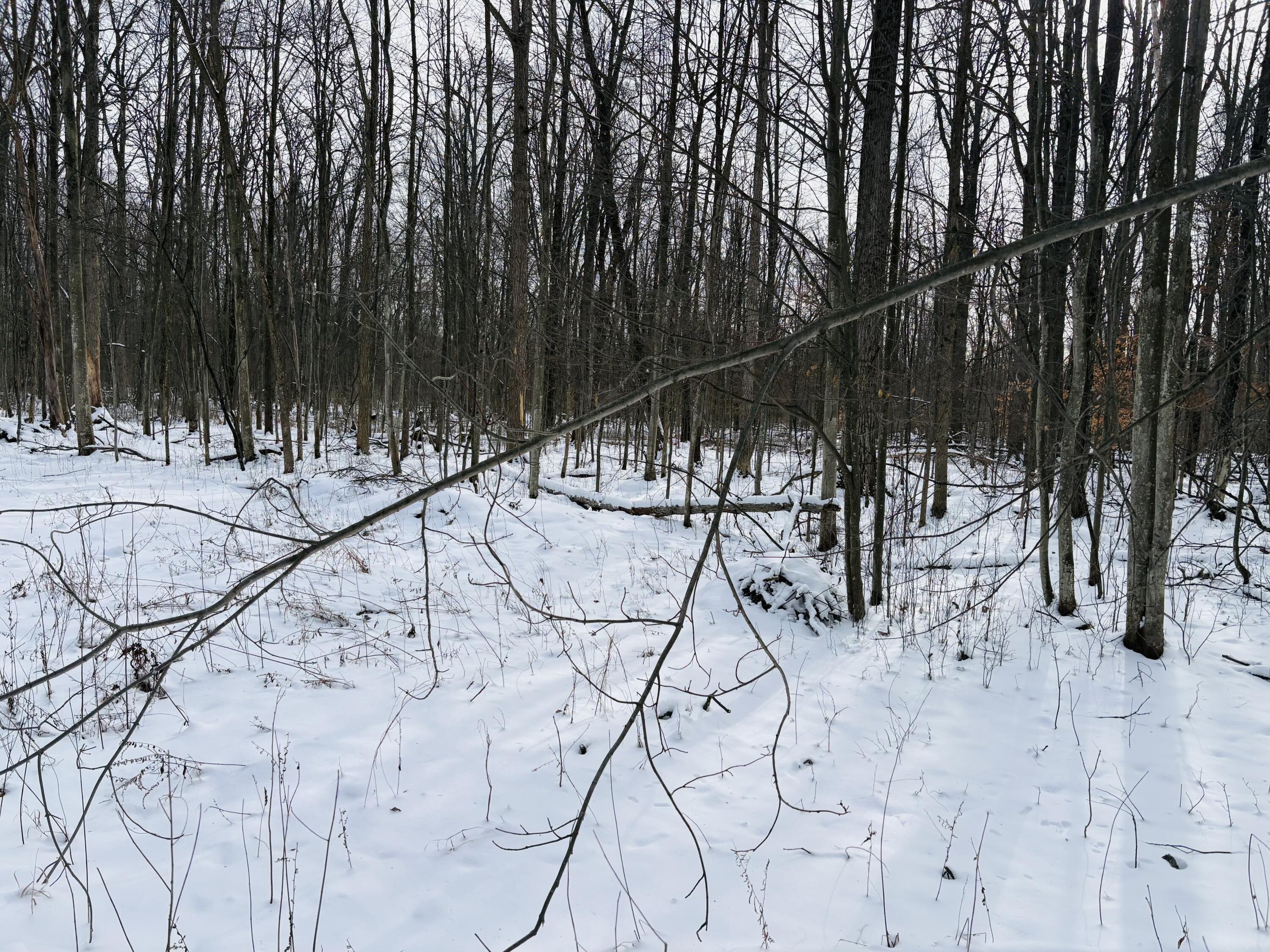 V/l East Prairie Road Midland, MI 48640 - Photo 33 of 60 IMG_5649