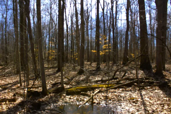 $600,000 | West Prairie Road, Midland, MI 48640