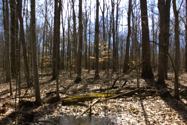 $600,000 | West Prairie Road, Midland, MI 48640