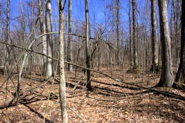 $600,000 | West Prairie Road, Midland, MI 48640