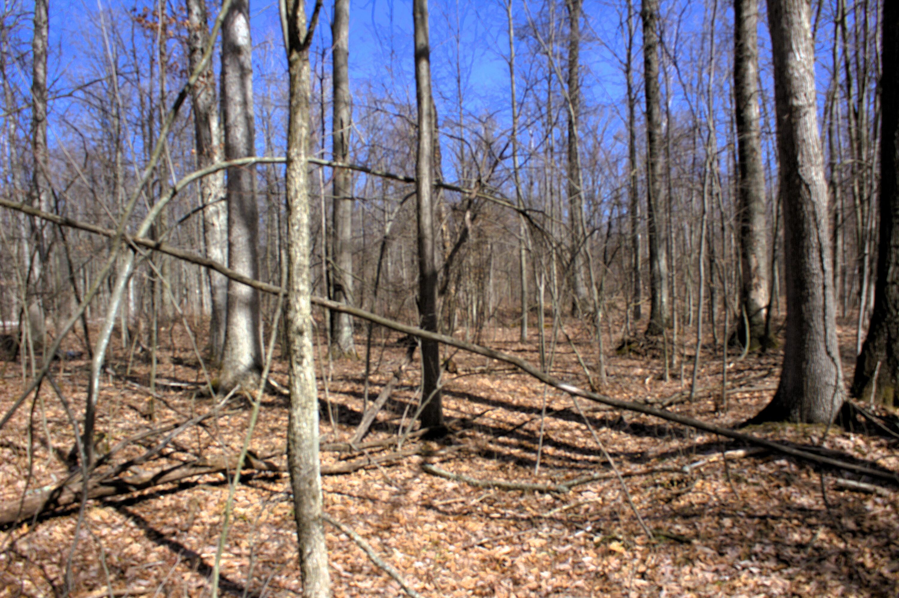 V/l East Prairie Road Midland, MI 48640 - Photo 37 of 60 IMG_6906