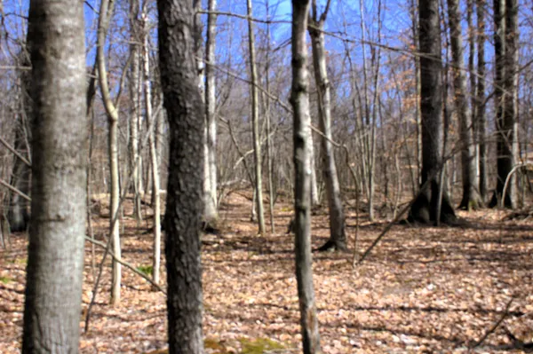 $600,000 | West Prairie Road, Midland, MI 48640