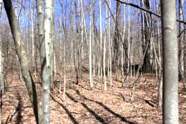 $600,000 | West Prairie Road, Midland, MI 48640