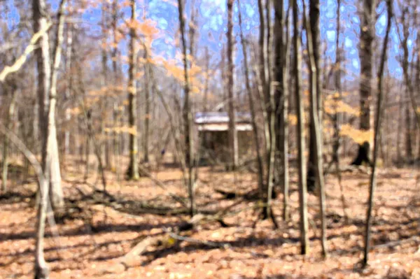 $600,000 | West Prairie Road, Midland, MI 48640