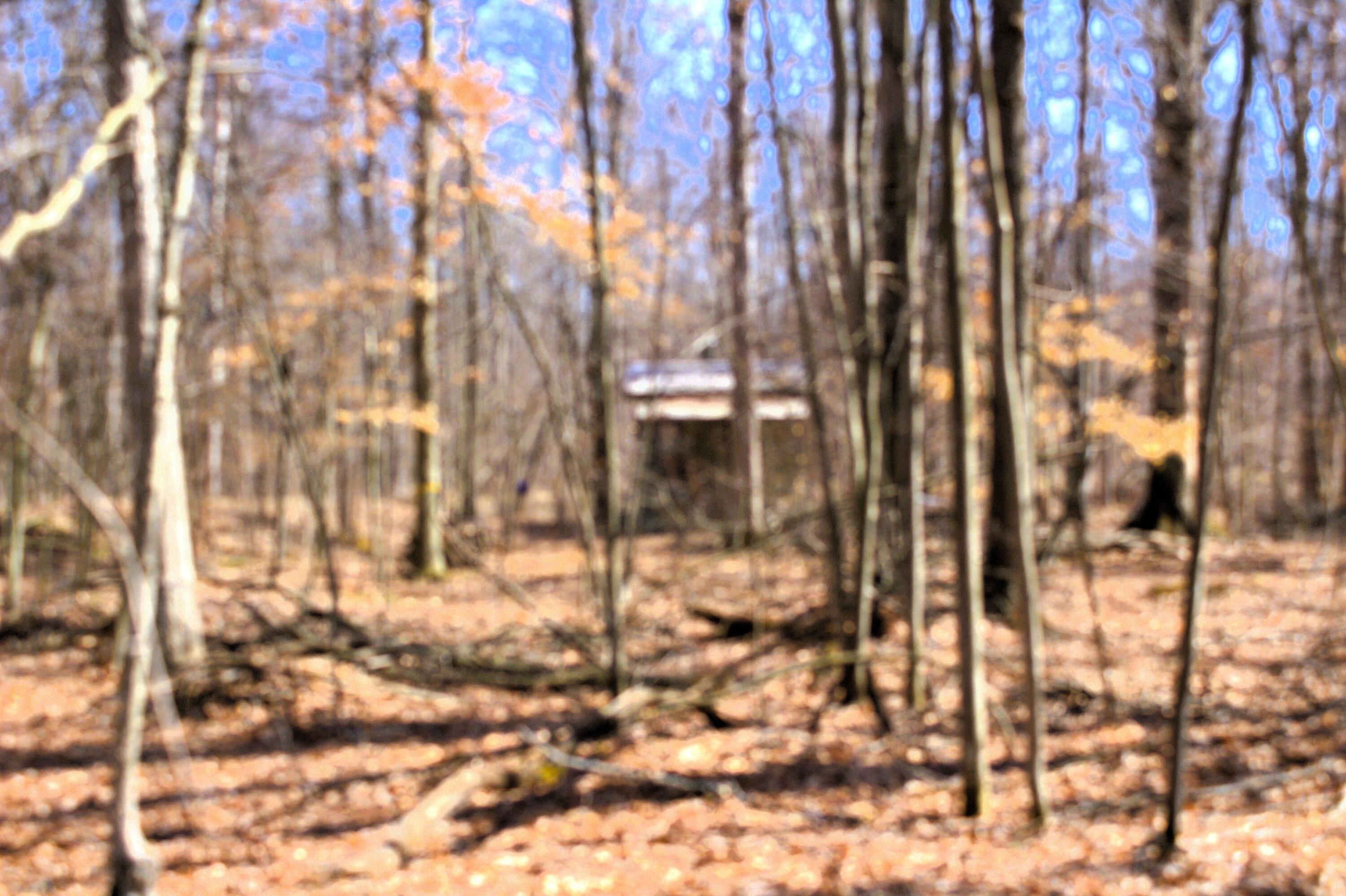 V/l East Prairie Road Midland, MI 48640 - Photo 40 of 60 IMG_6910