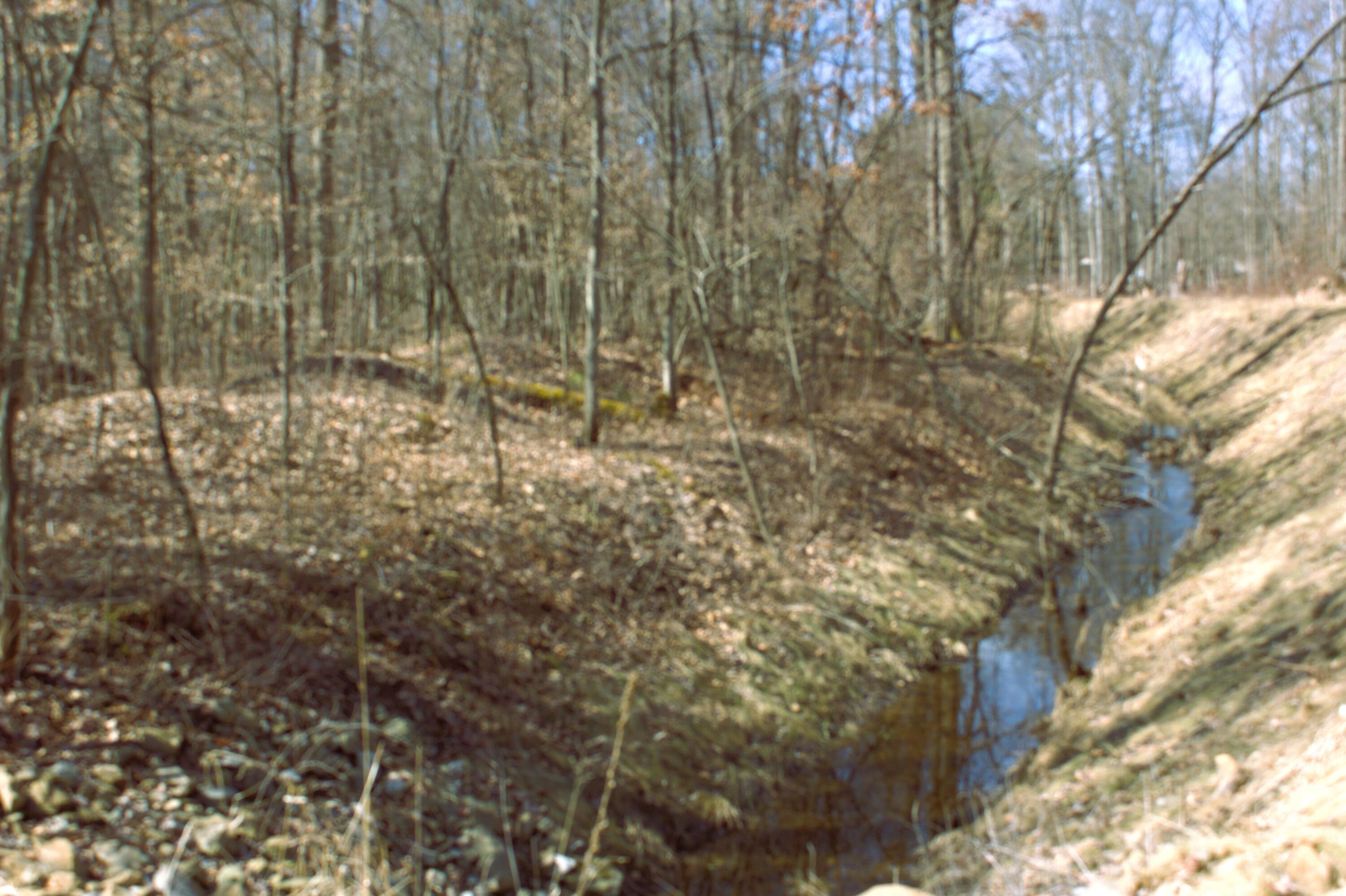 V/l East Prairie Road Midland, MI 48640 - Photo 42 of 60 IMG_6917