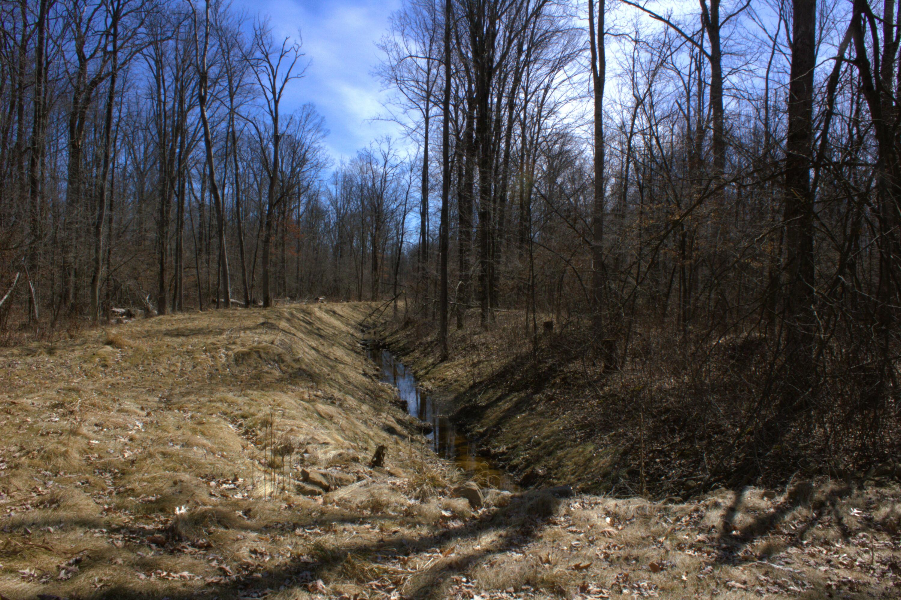 V/l East Prairie Road Midland, MI 48640 - Photo 43 of 60 IMG_6918