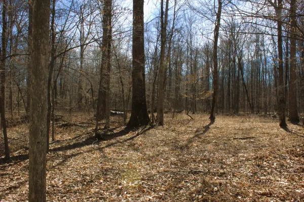 $600,000 | West Prairie Road, Midland, MI 48640