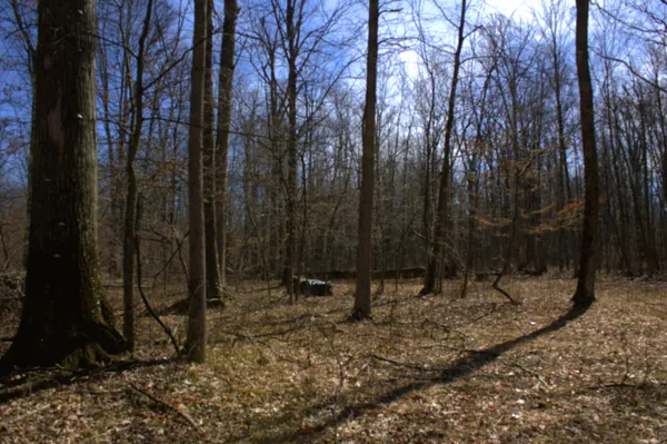 $600,000 | West Prairie Road, Midland, MI 48640