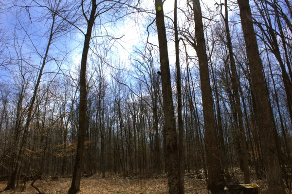 $600,000 | West Prairie Road, Midland, MI 48640