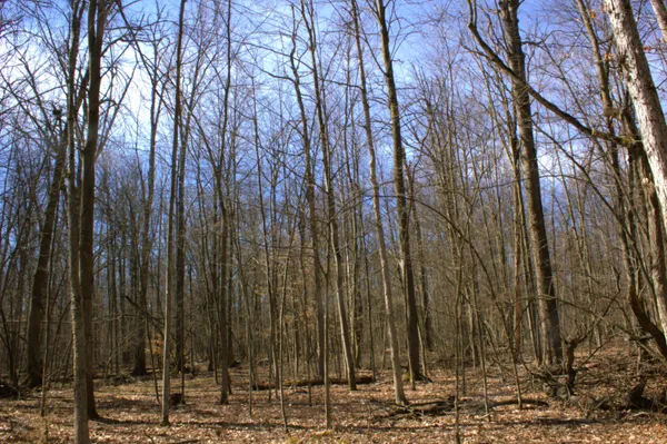 $600,000 | V/l East Prairie Road, Midland, MI 48640