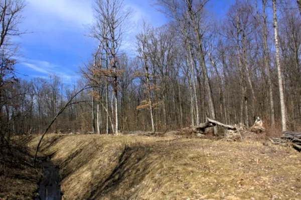 $600,000 | West Prairie Road, Midland, MI 48640