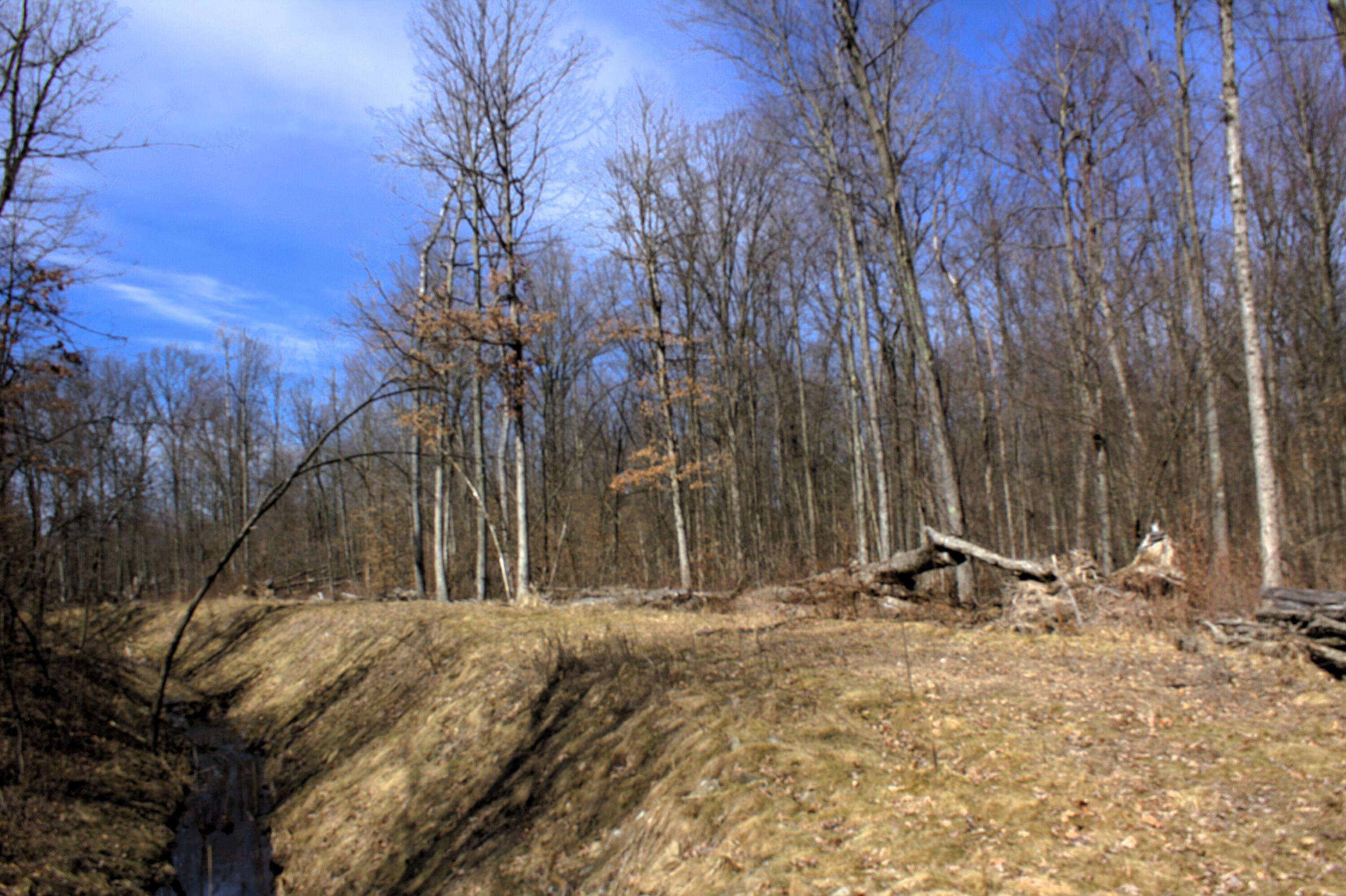 V/l East Prairie Road Midland, MI 48640 - Photo 50 of 60 IMG_6927