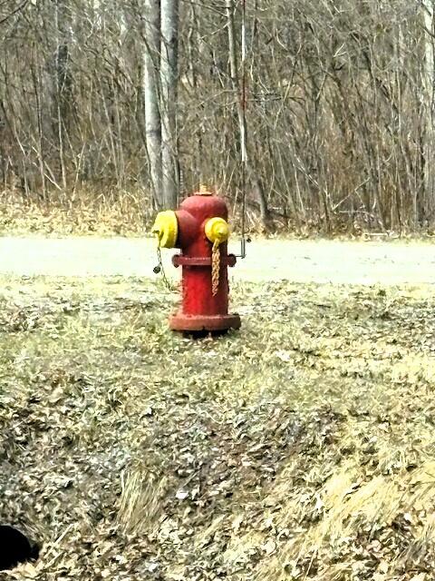 V/l East Prairie Road Midland, MI 48640 - Photo 5 of 60 IMG_7590