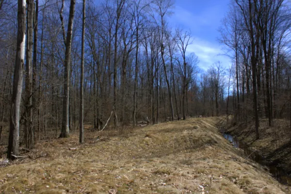 $600,000 | V/l East Prairie Road, Midland, MI 48640