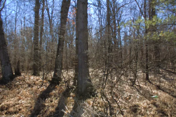 $600,000 | West Prairie Road, Midland, MI 48640