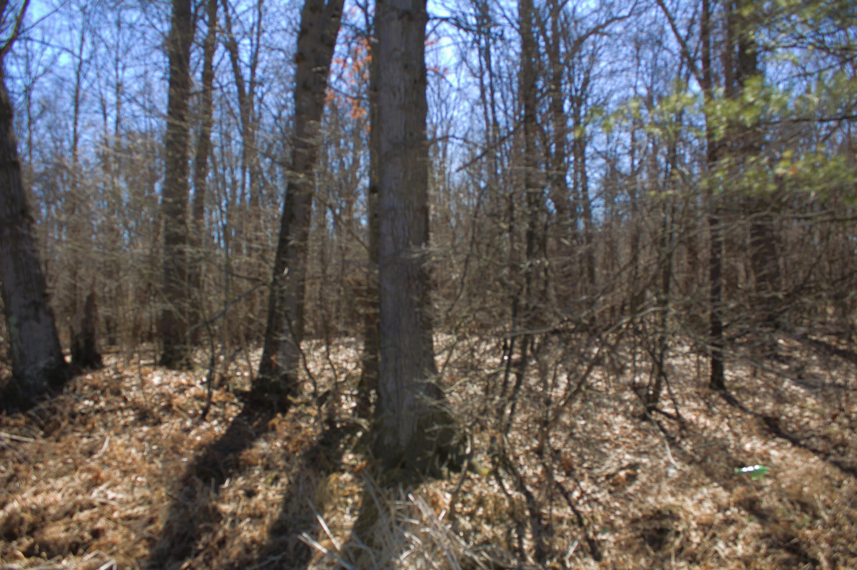 V/l East Prairie Road Midland, MI 48640 - Photo 54 of 60 IMG_6932