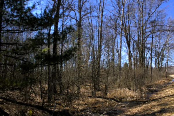 $600,000 | West Prairie Road, Midland, MI 48640