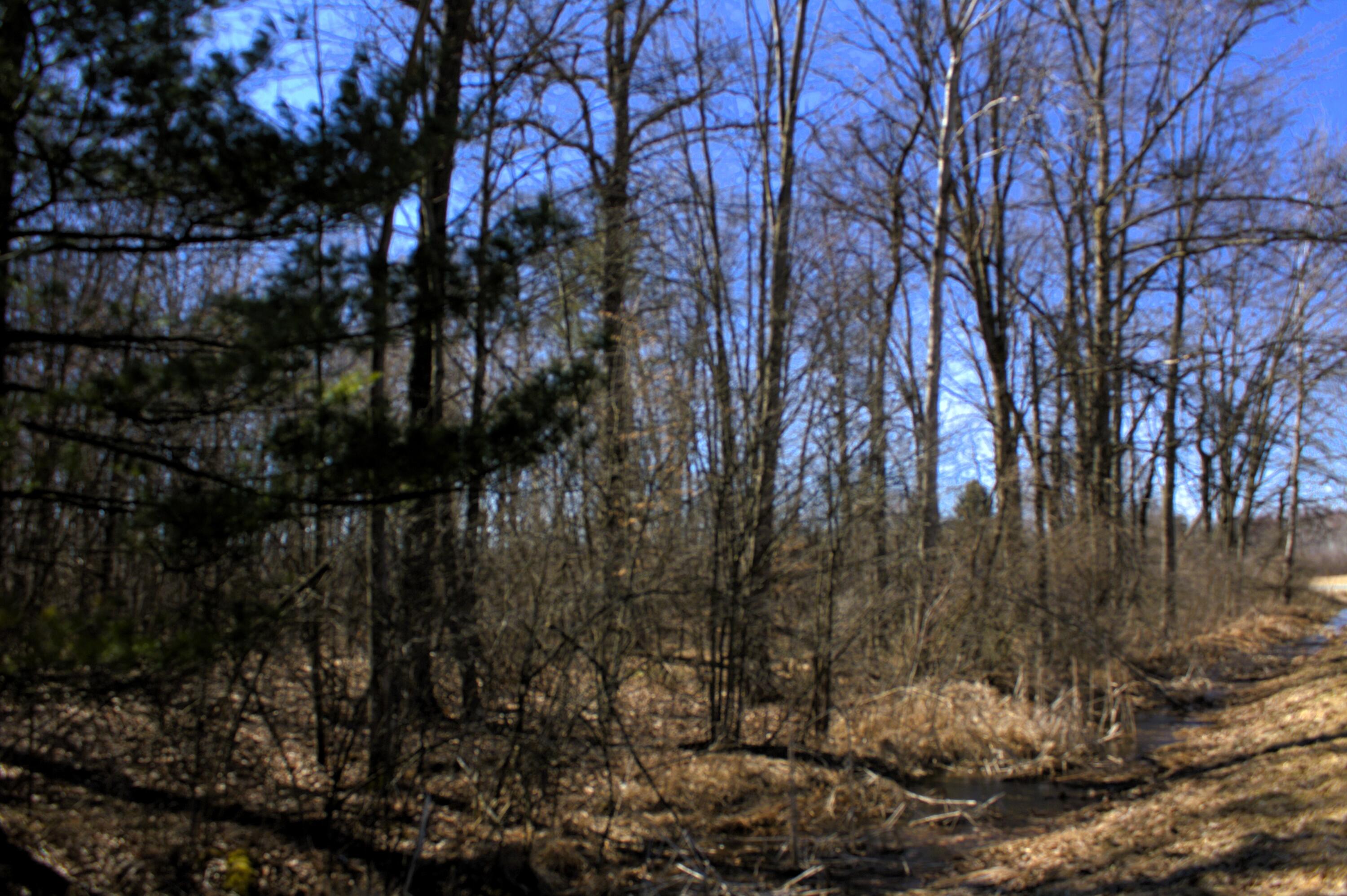 V/l East Prairie Road Midland, MI 48640 - Photo 55 of 60 IMG_6933
