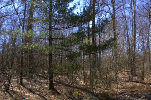 $600,000 | West Prairie Road, Midland, MI 48640