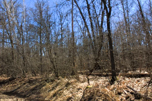 $600,000 | West Prairie Road, Midland, MI 48640