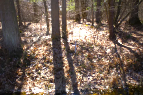 $600,000 | West Prairie Road, Midland, MI 48640